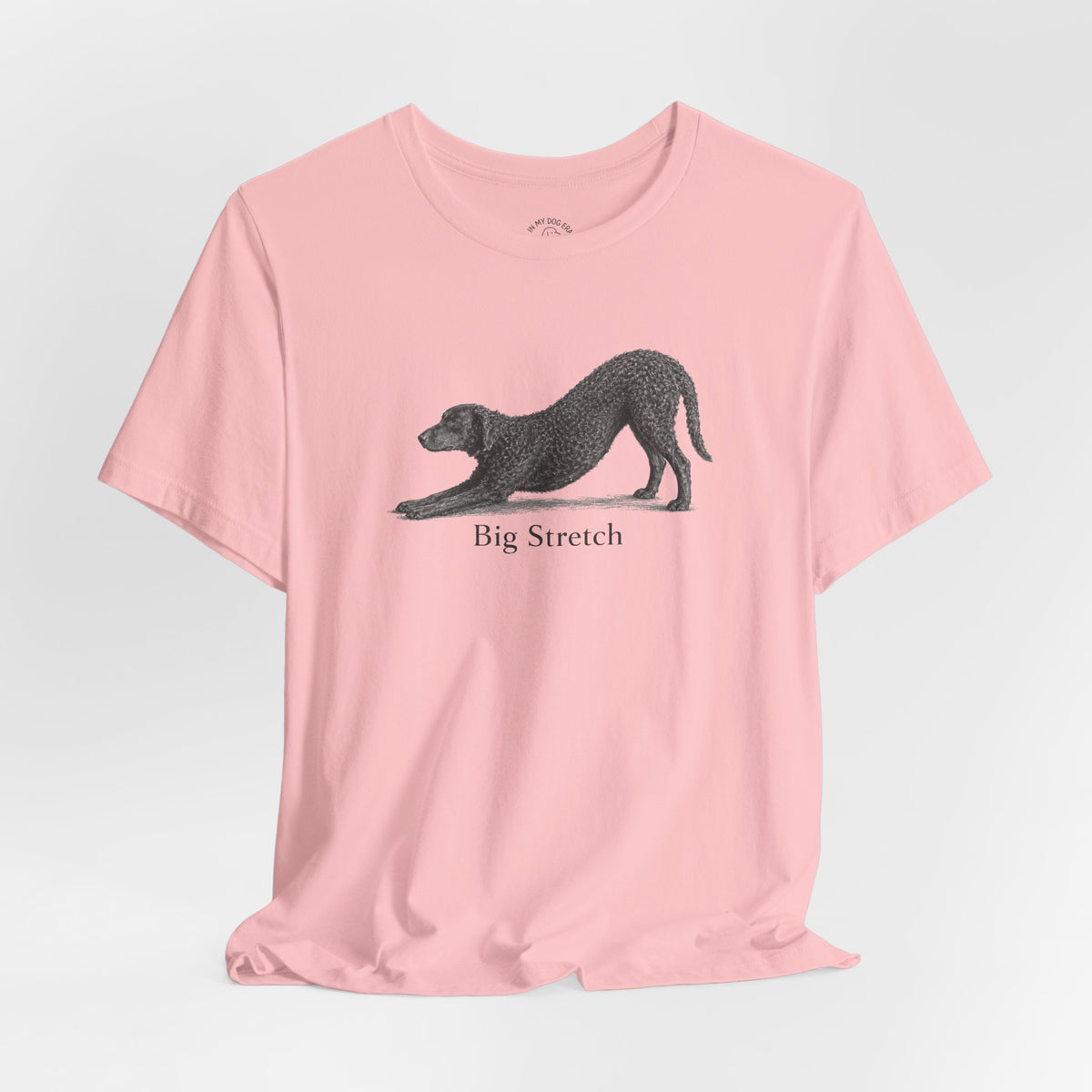 Big Stretch Curly Coated Retriever T-Shirt