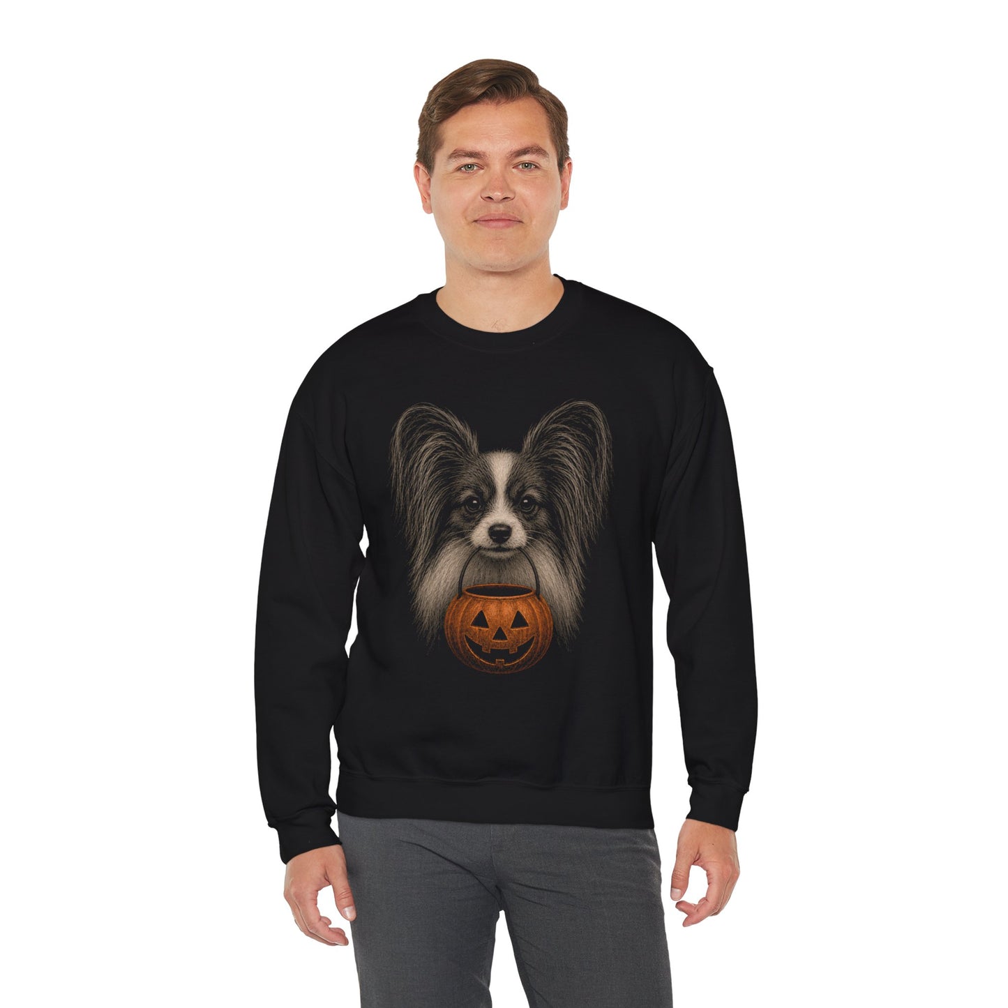 Papillon Halloween Sweatshirt – Boop or Treat