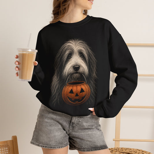 Bearded Collie Halloween Sweatshirt – Boop or Treat