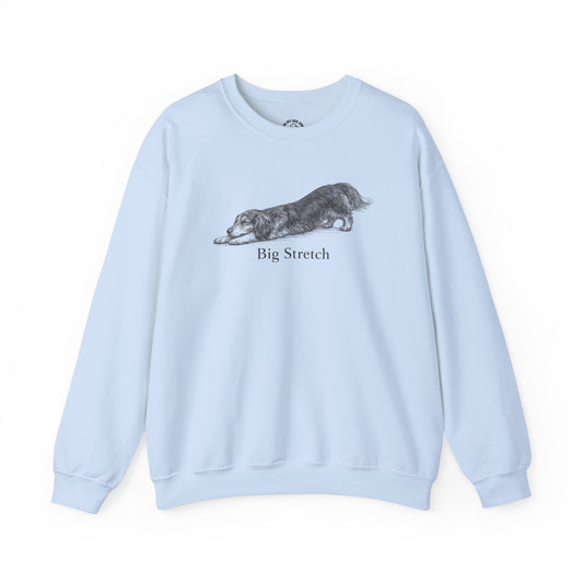Big Stretch Long-Haired Dachshund Sweatshirt