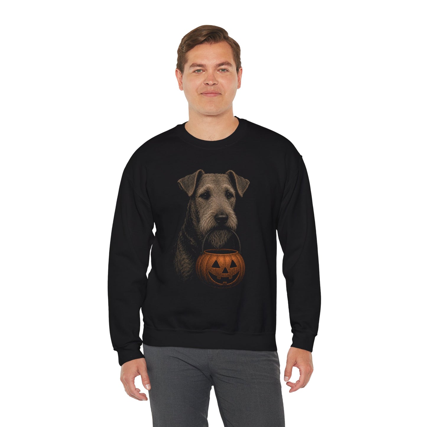 Airedale Terrier Halloween Sweatshirt – Boop or Treat