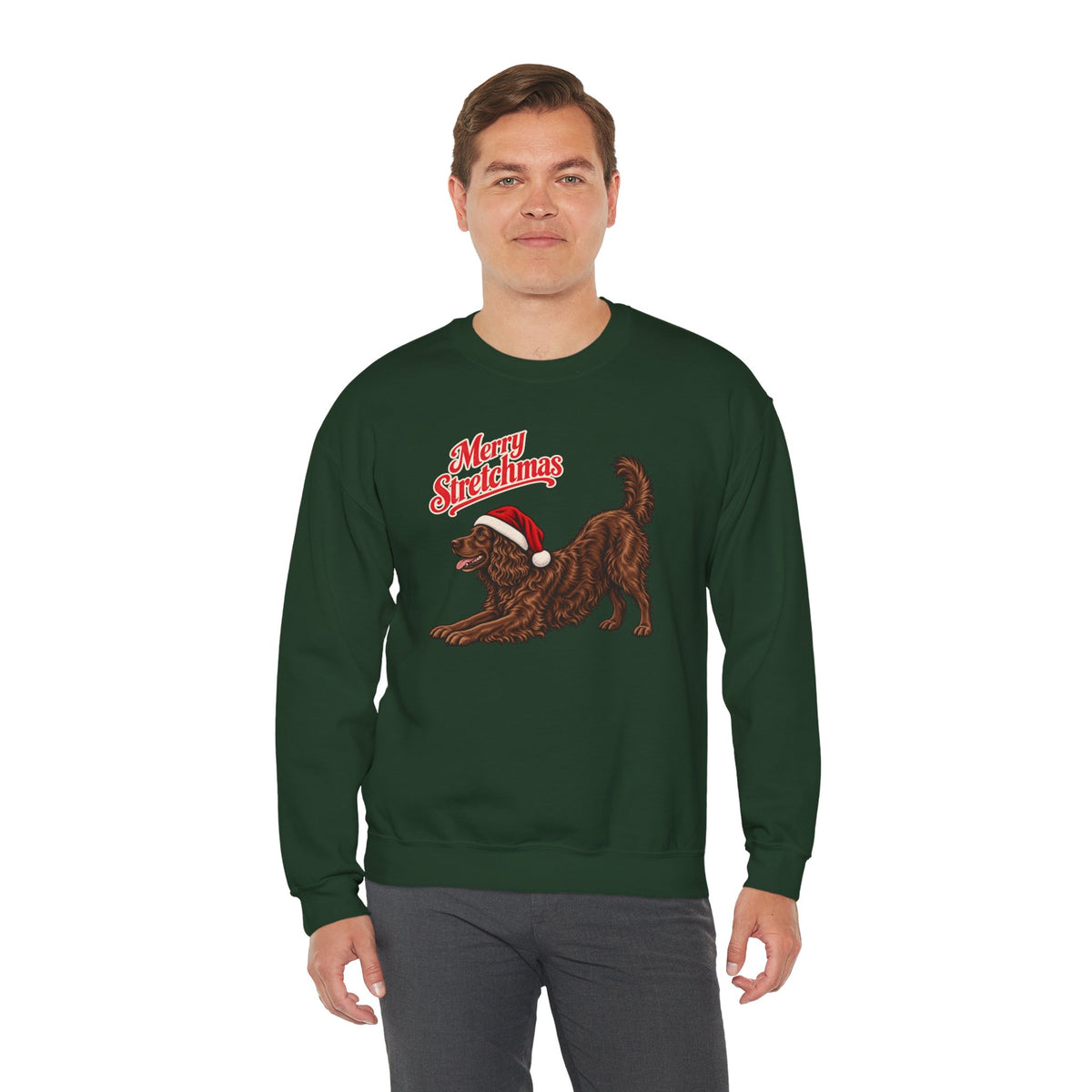 Boykin Spaniel Christmas Sweatshirt | Merry Stretchmas