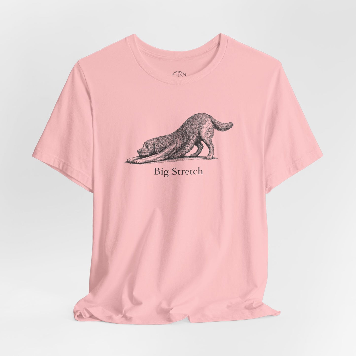 Big Stretch Chesapeake Bay Retriever T-Shirt