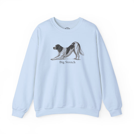 Big Stretch Irish Red and White Setter Sweatshirt