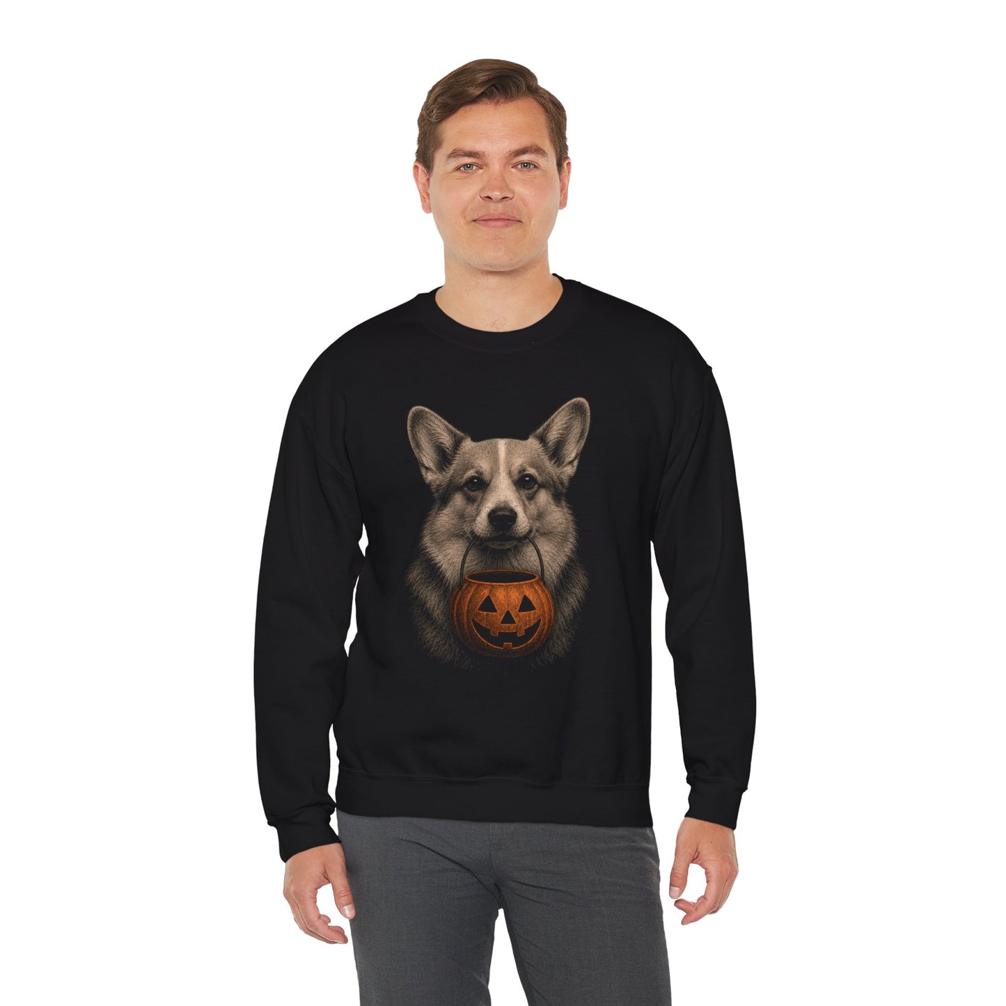 Corgi Halloween Sweatshirt – Boop or Treat