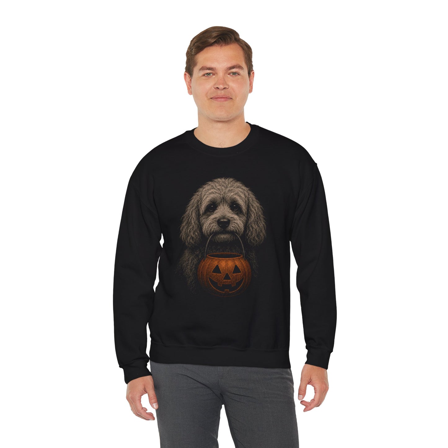 Cavapoo Halloween Sweatshirt – Boop or Treat