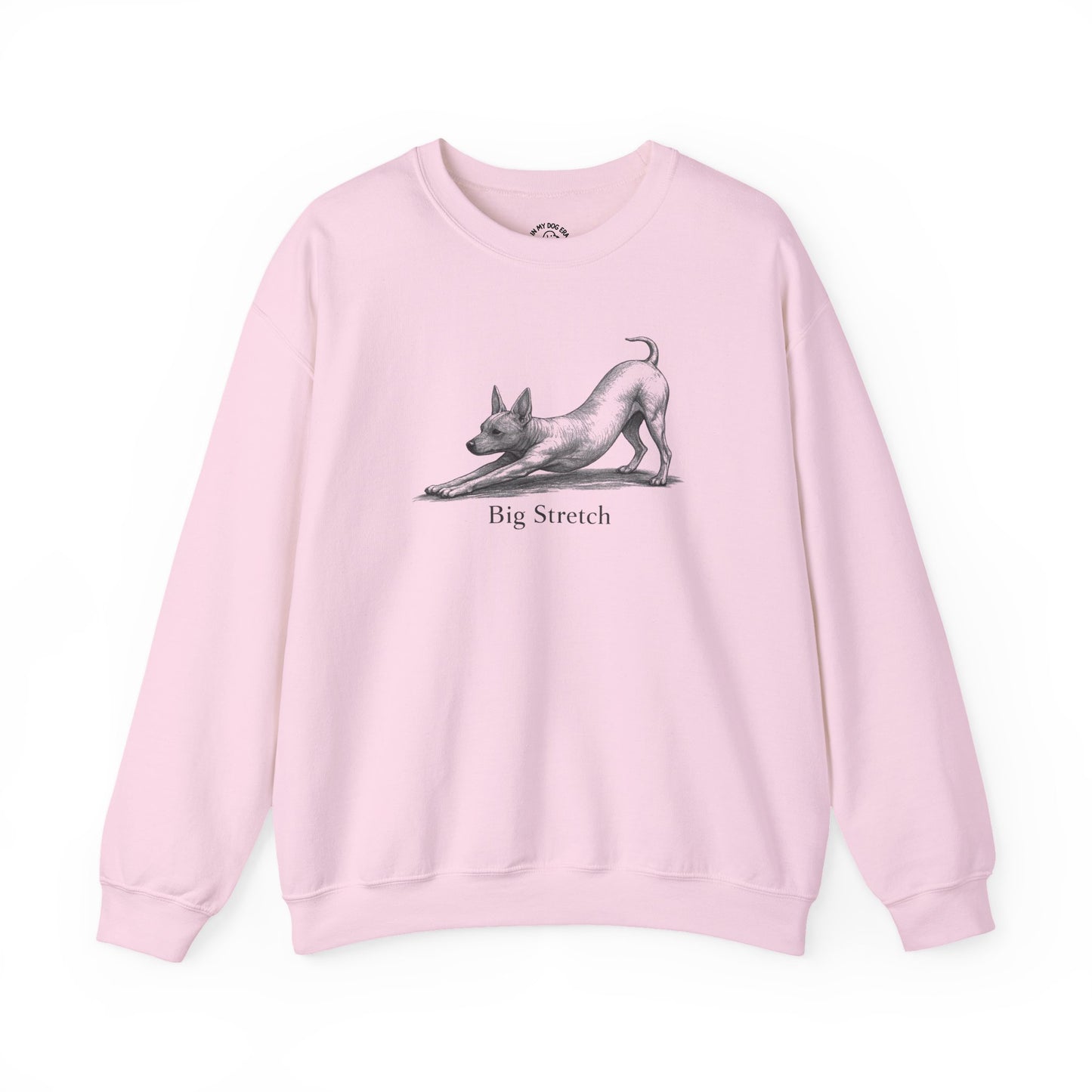Big Stretch American Hairless Terrier Sweatshirt