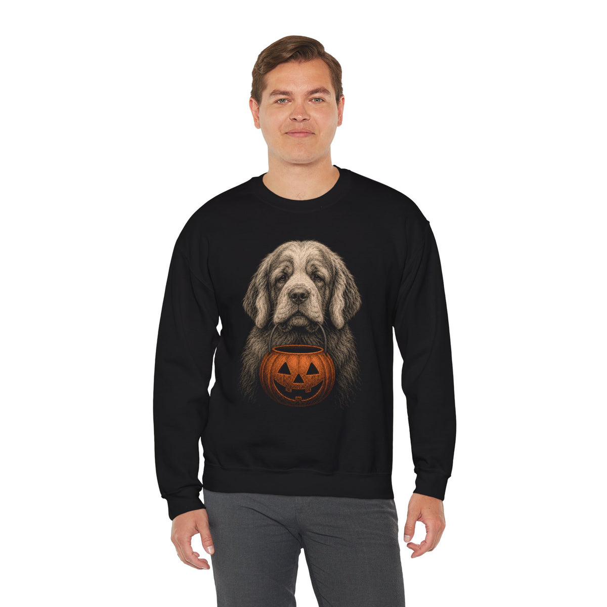 Clumber Spaniel Halloween Sweatshirt – Boop or Treat