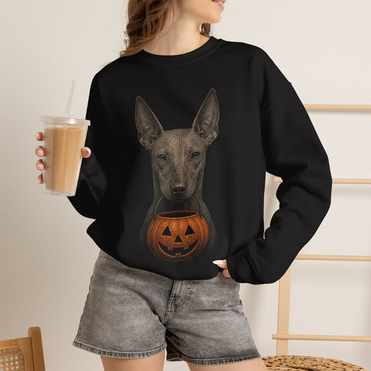 Xoloitzcuintli Halloween Sweatshirt – Boop or Treat
