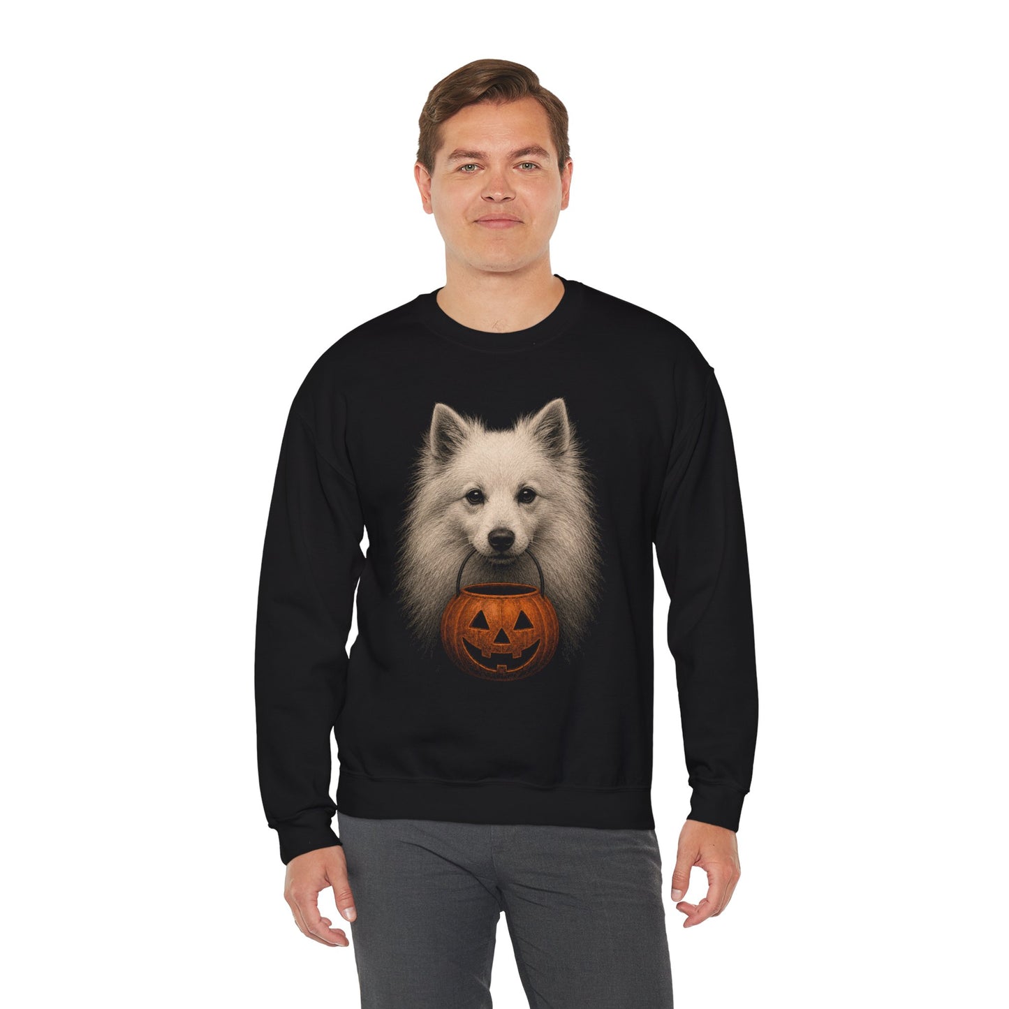 American Eskimo Dog Halloween Sweatshirt – Boop or Treat