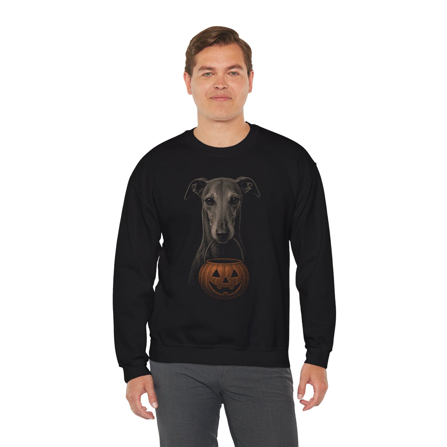 Greyhound Halloween Sweatshirt – Boop or Treat