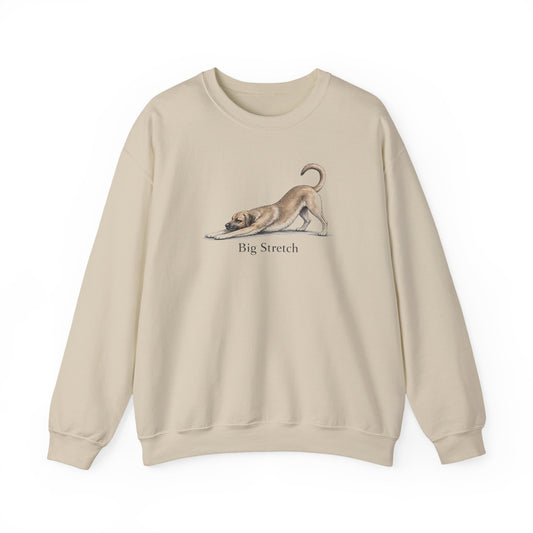 Big Stretch Black Mouth Cur Sweatshirt