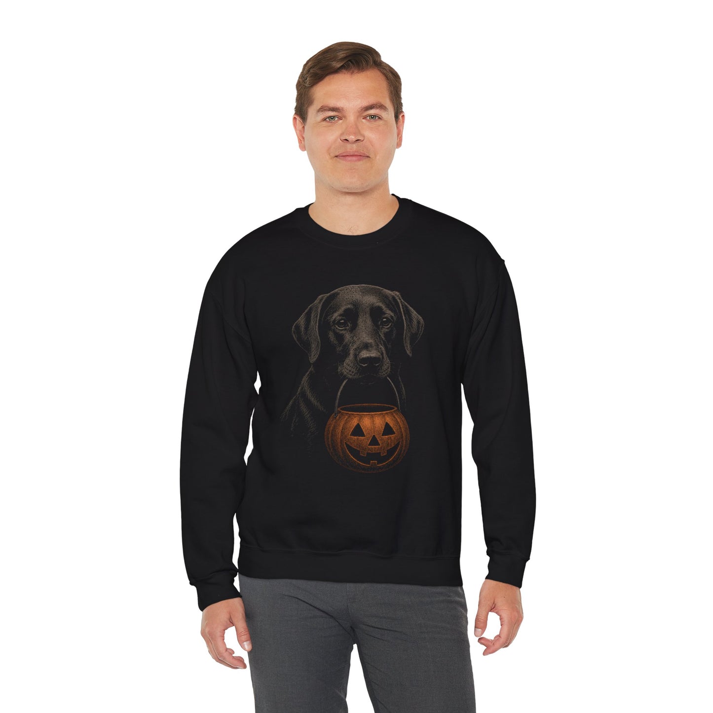 Black Labrador Retriever Halloween Sweatshirt – Boop or Treat