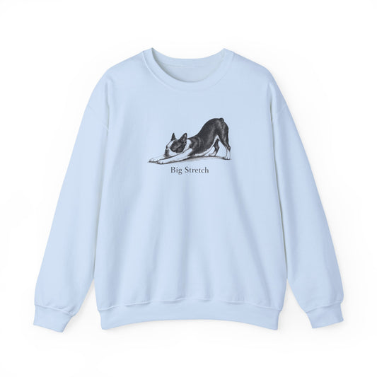 Big Stretch Boston Terrier Sweatshirt
