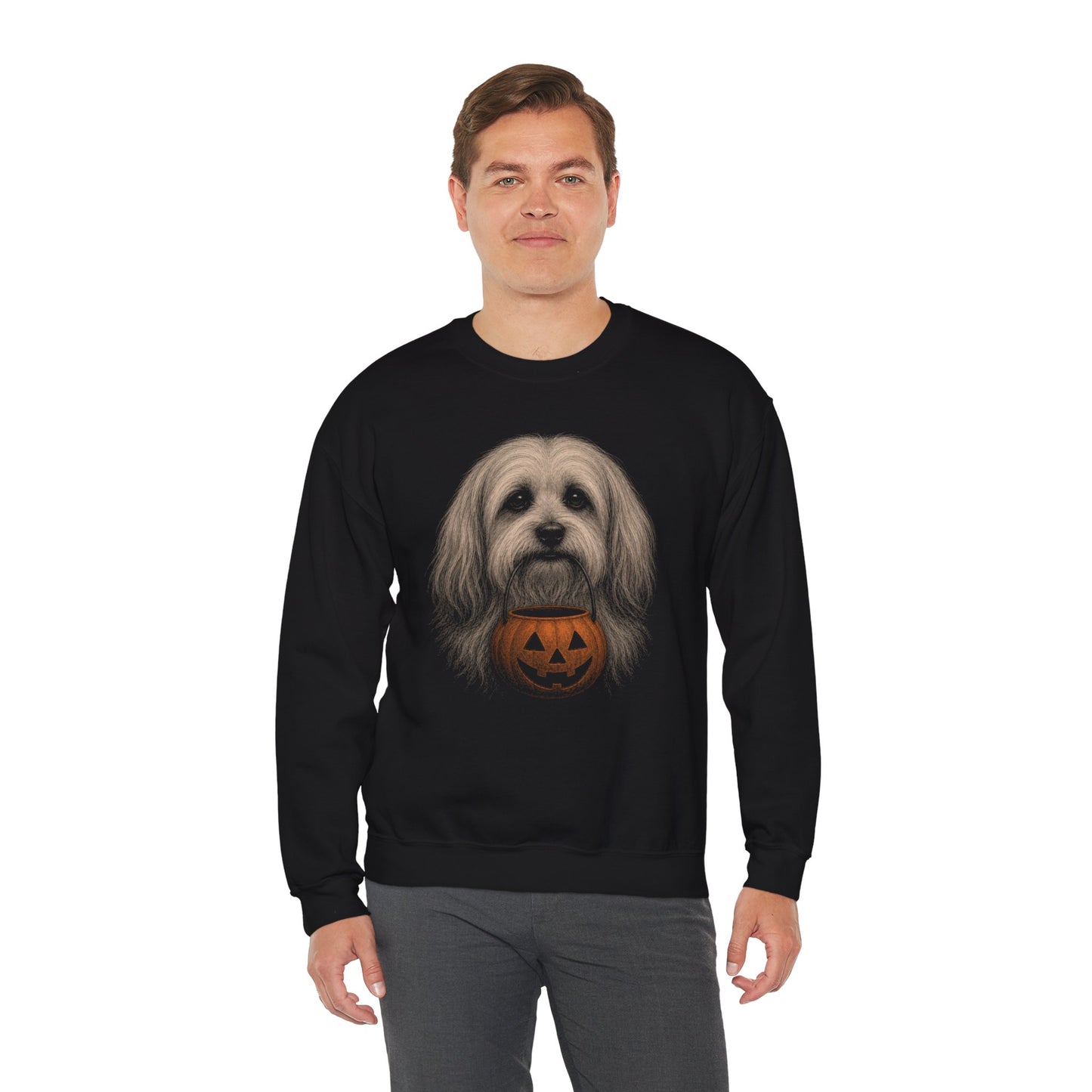 Havanese Halloween Sweatshirt – Boop or Treat
