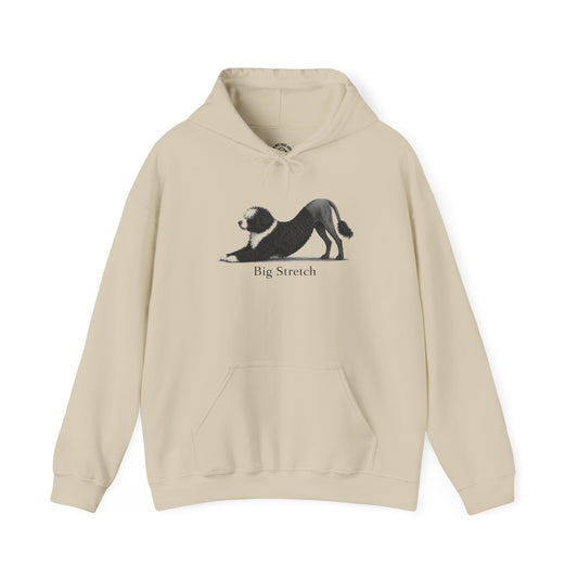 Big Stretch Portuguese Water Dog - Hoodie (Lion Cut)