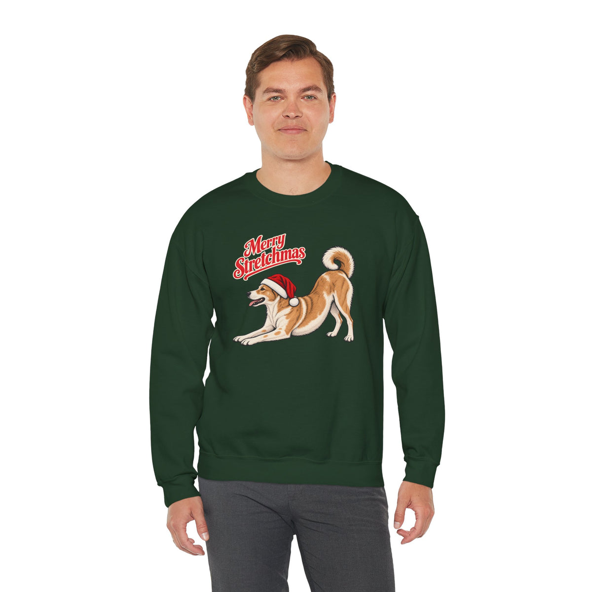 Canaan Dog Christmas Sweatshirt | Merry Stretchmas
