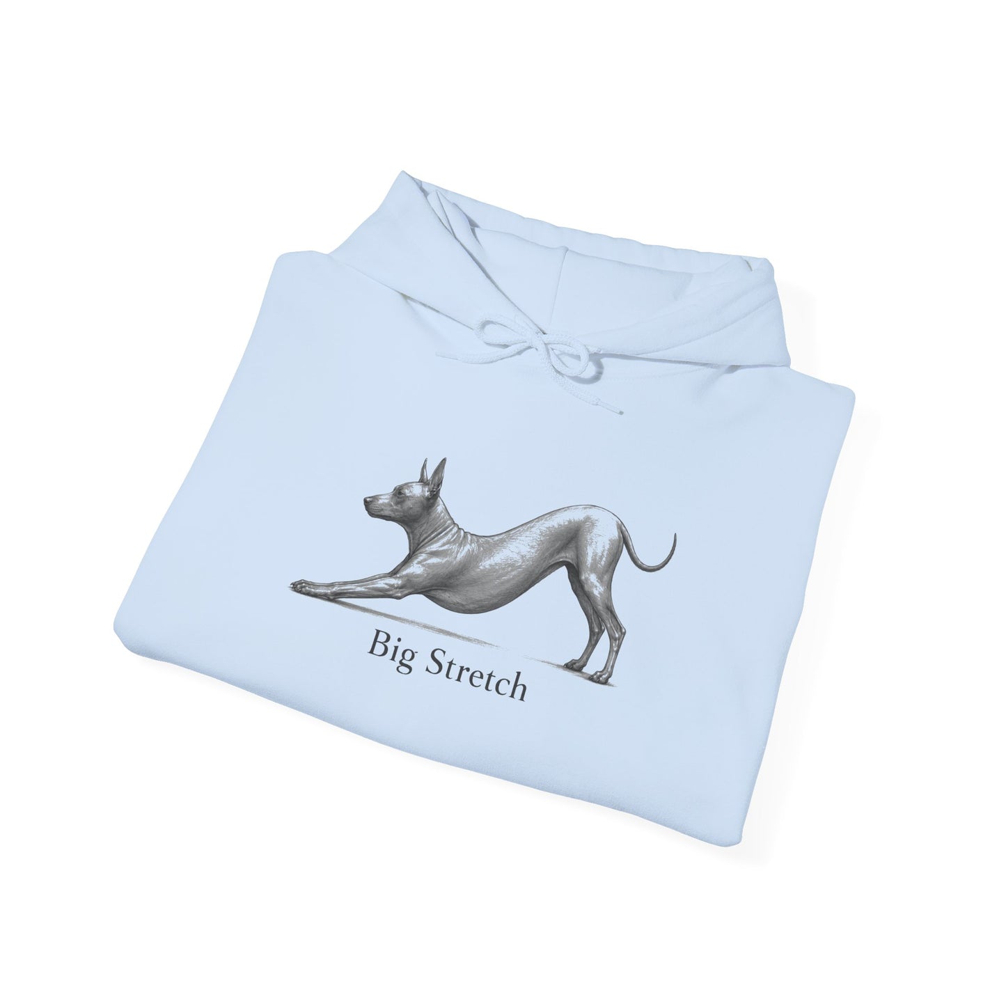 Big Stretch Xoloitzcuintli - Hoodie