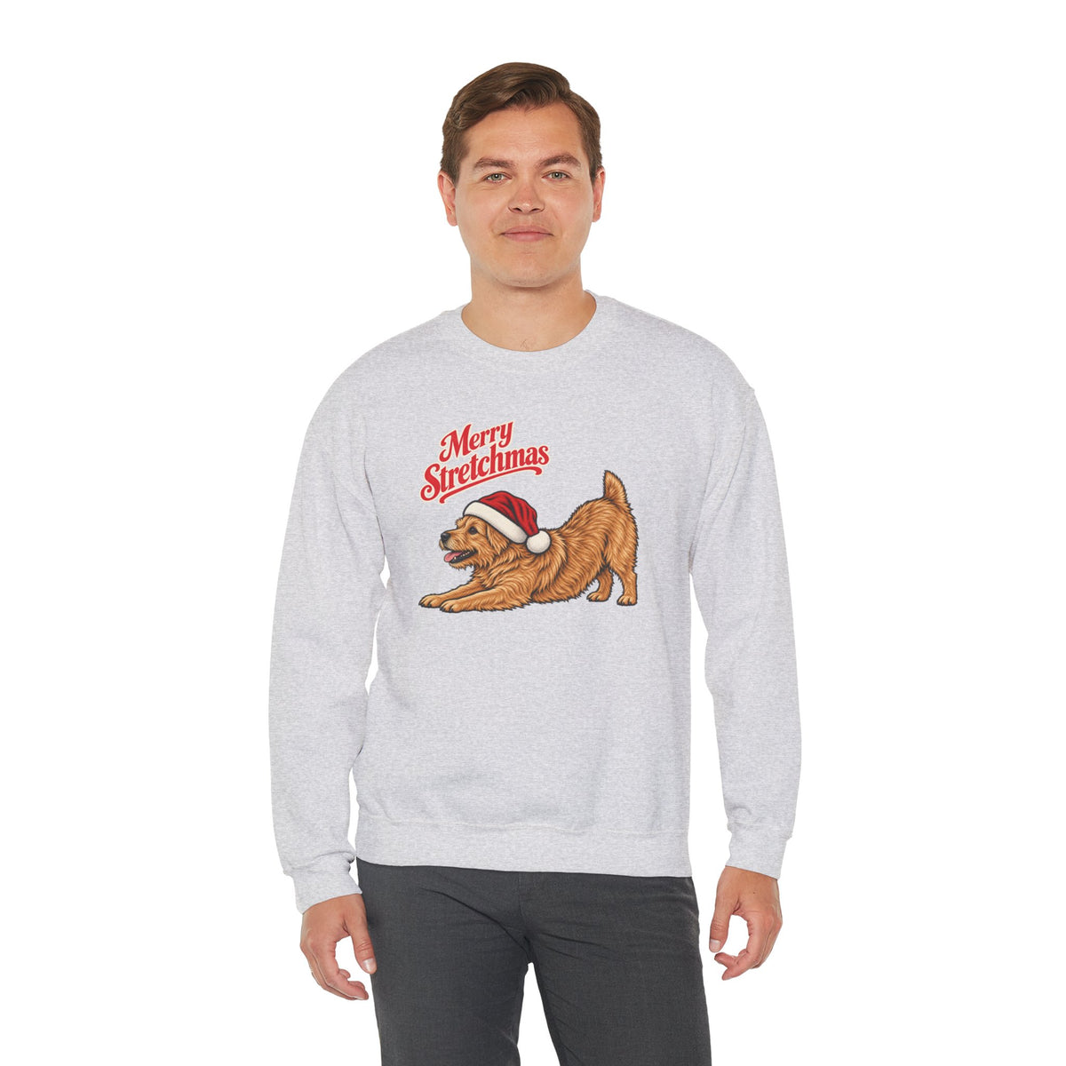 Norwich Terrier Christmas Sweatshirt | Merry Stretchmas