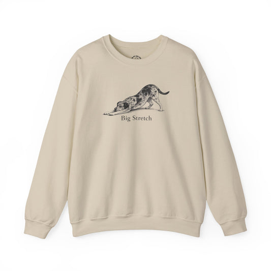 Big Stretch Catahoula Leopard Dog Sweatshirt