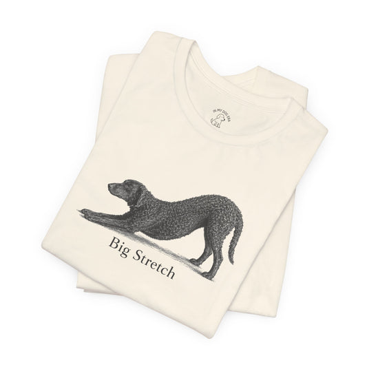 Big Stretch Curly Coated Retriever T-Shirt