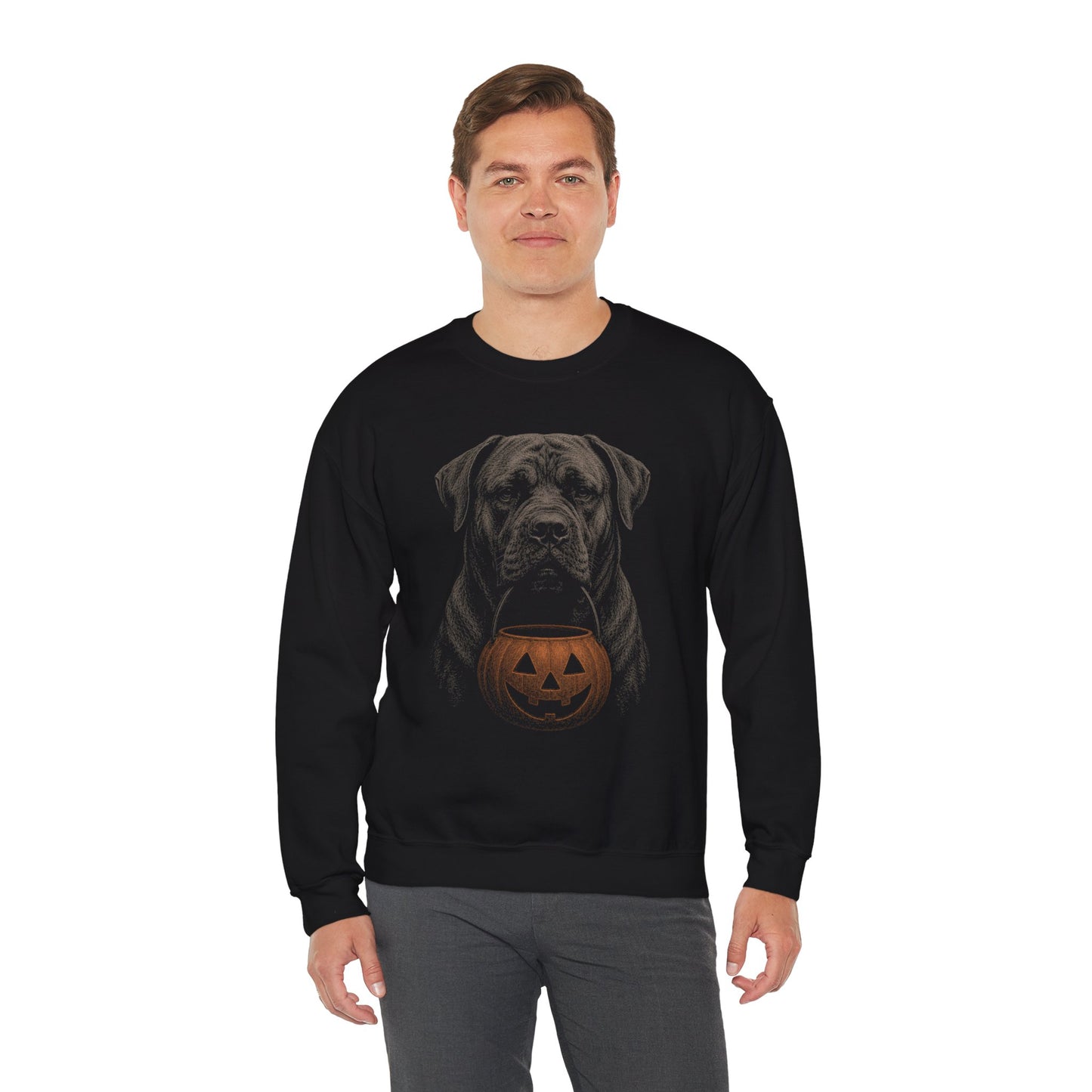 Presa Canarioe Halloween Sweatshirt – Boop or Treat