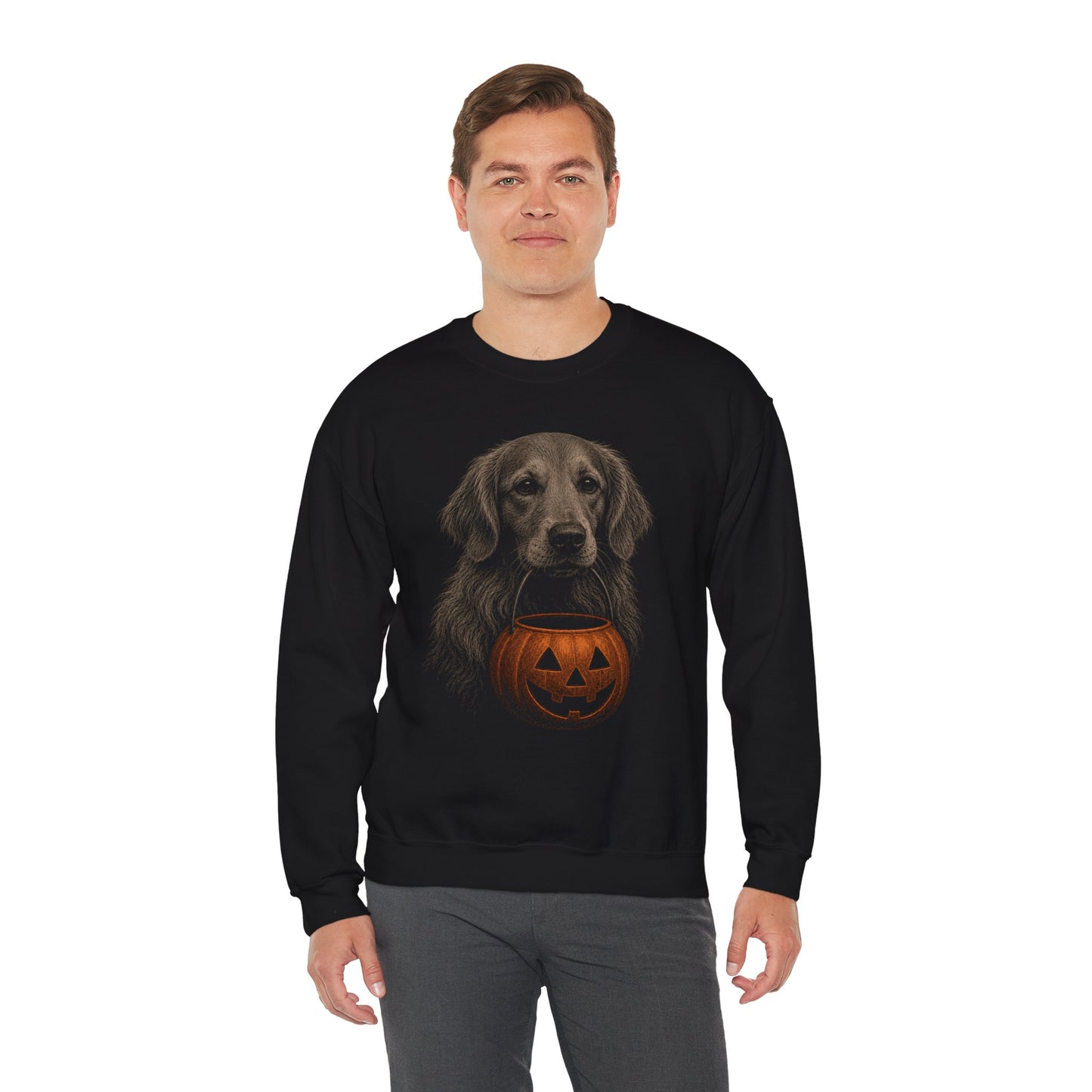 Golden Retriever Halloween Sweatshirt – Boop or Treat