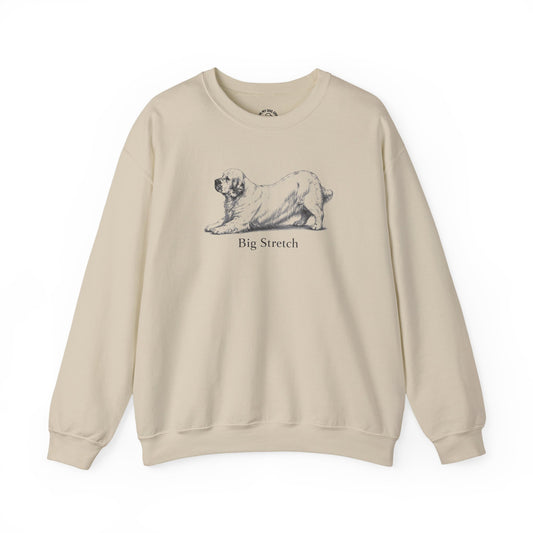 Big Stretch Clumber Spaniel Sweatshirt