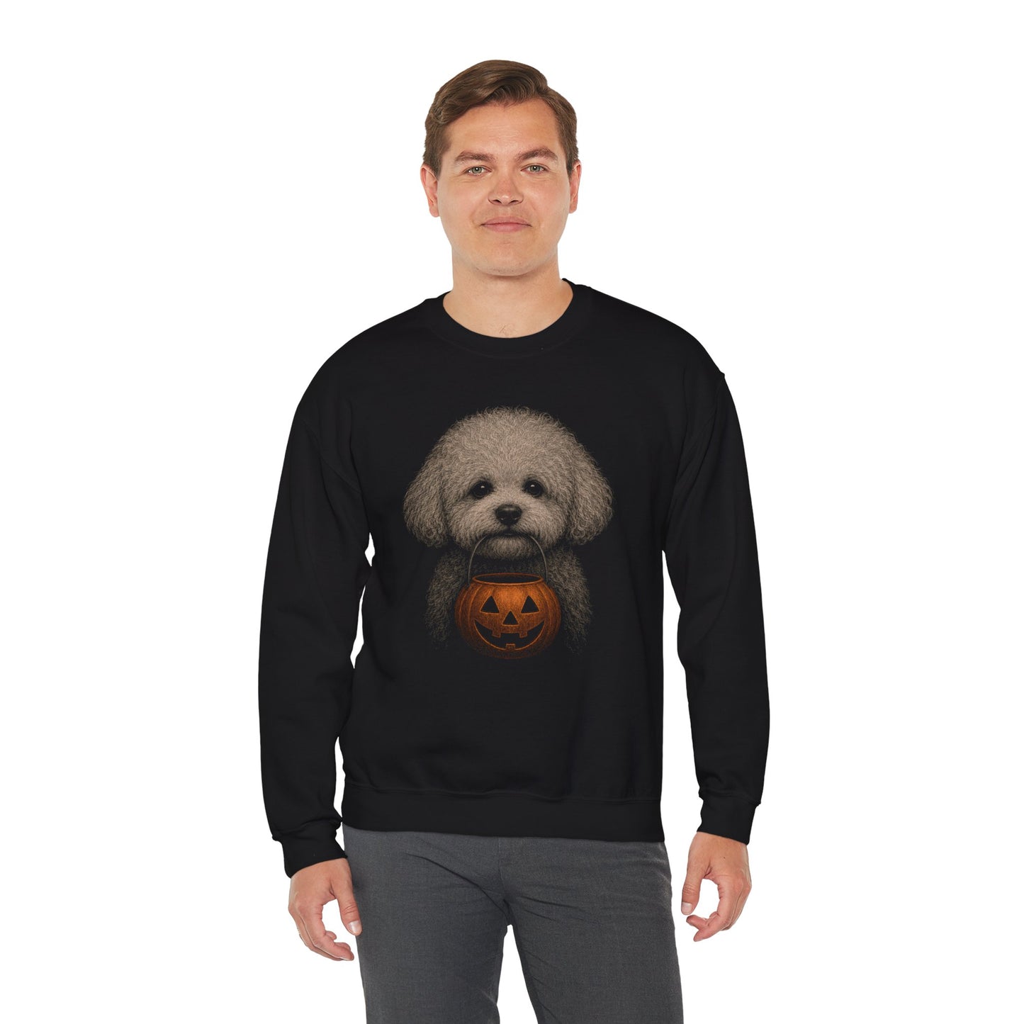 Bichon Halloween Sweatshirt – Boop or Treat