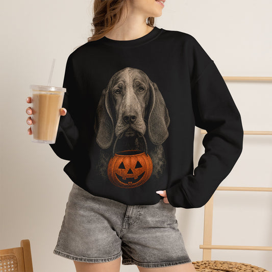 Bracco Italiano Halloween Sweatshirt – Boop or Treat