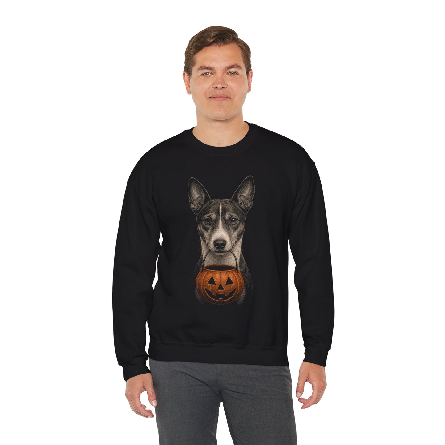 Basenji Halloween Sweatshirt – Boop or Treat
