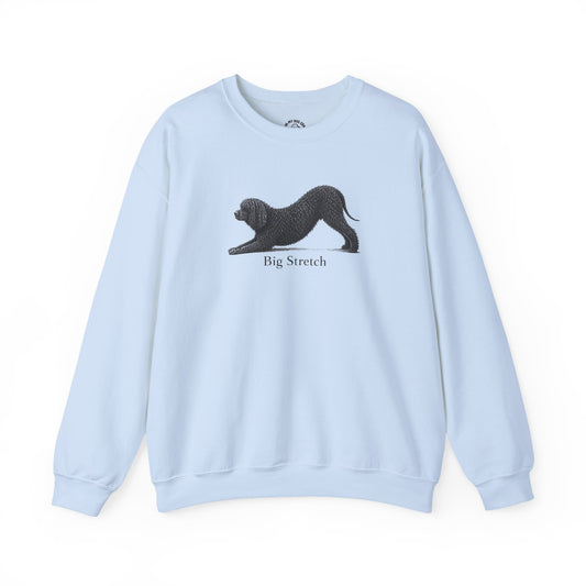 Big Stretch Irish Water Spaniel Sweatshirt
