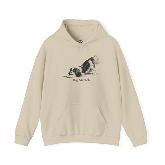 Cavalier King Charles Spaniel T-Shirts, Sweatshirts & Hoodies