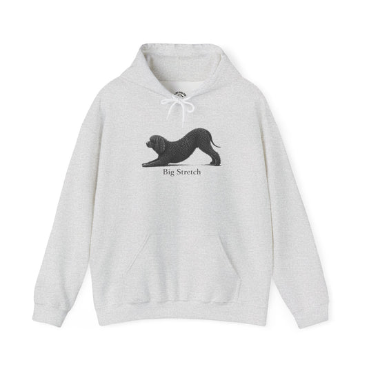 Irish Water Spaniel T-Shirts, Sweatshirts & Hoodies