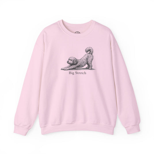 Cockapoo T-Shirts, Sweatshirts & Hoodies