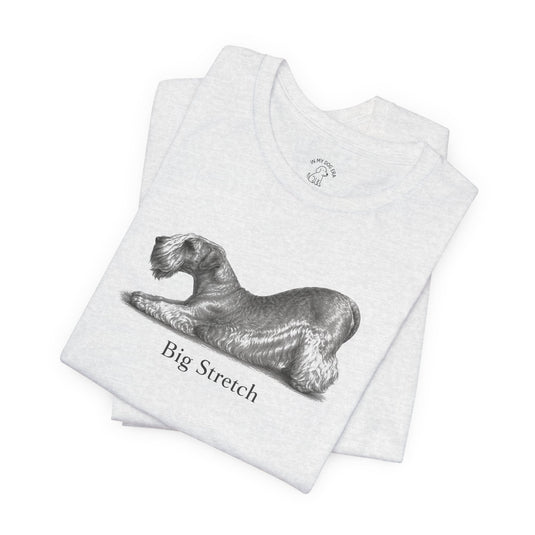 Cesky Terrier T-Shirts, Sweatshirts & Hoodies