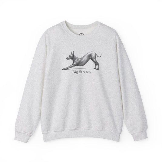 Xoloitzcuintli Apparel & Gifts