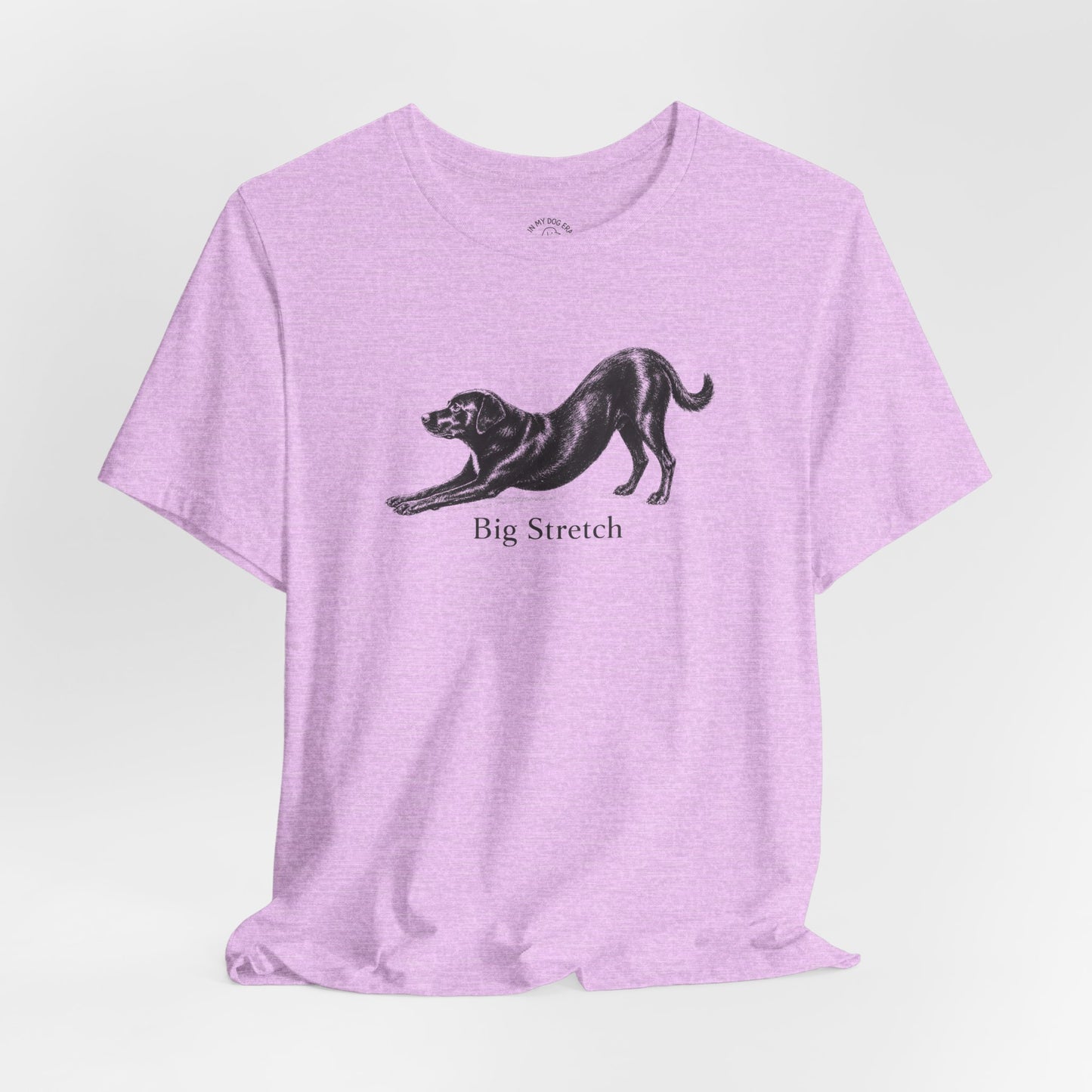 Big Stretch Super Mutt T-Shirt (Murphy)