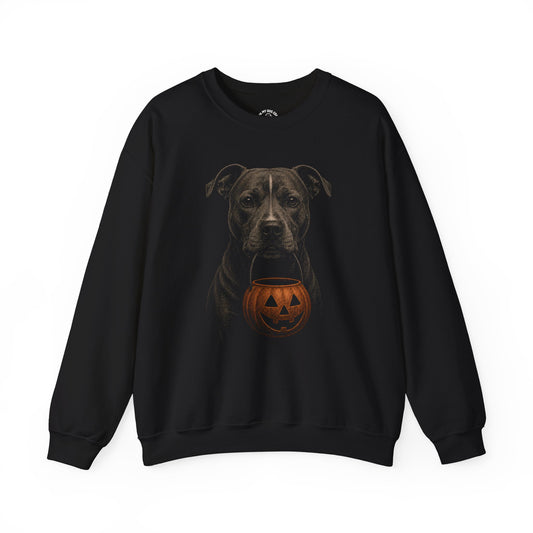 American Staffordshire Terrier Halloween Sweatshirt – Boop or Treat