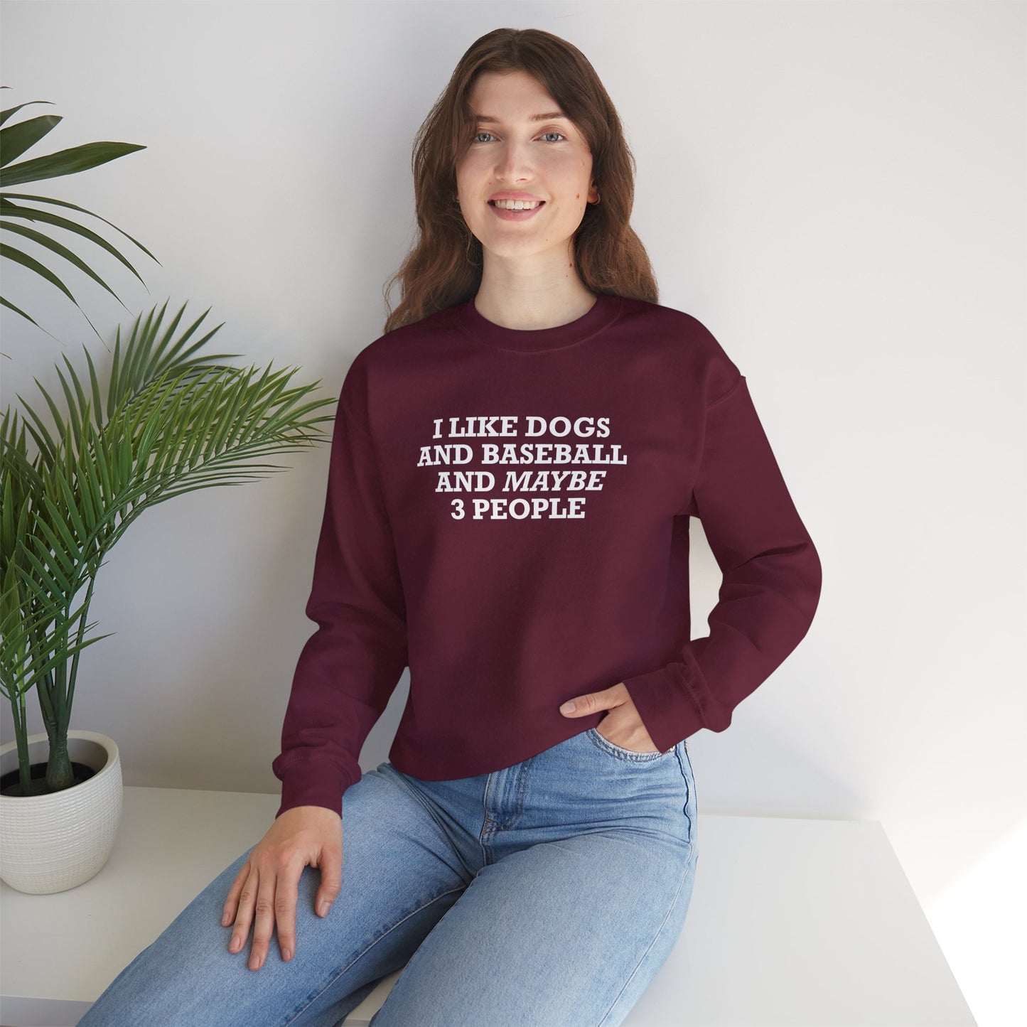 I Like Dogs and Baseball and Maybe 3 People Sweatshirt – Funny Baseball Dog Lover Shirt for Introvert