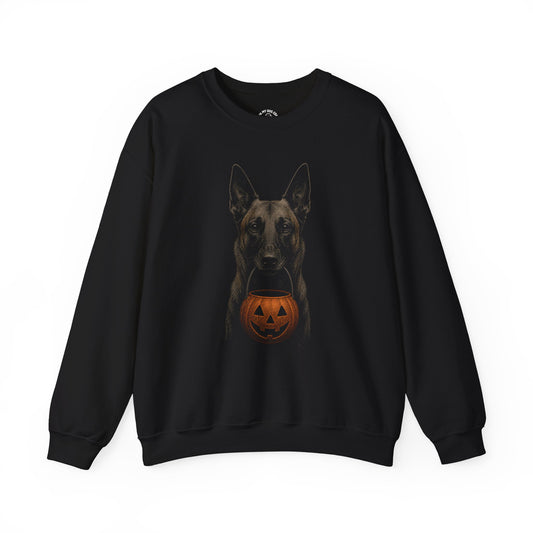 Belgian Malinois Halloween Sweatshirt – Boop or Treat
