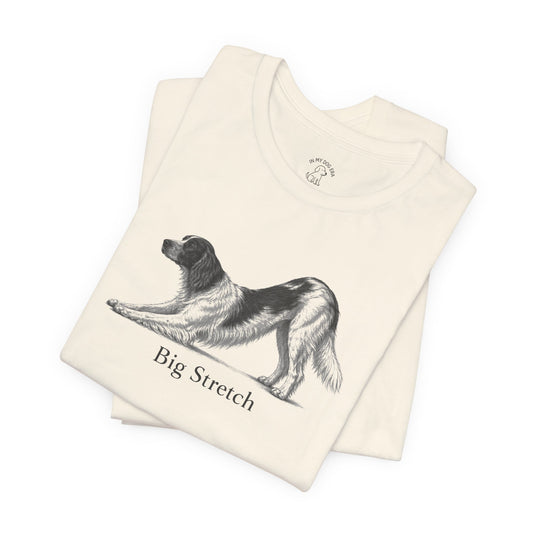 Big Stretch Irish Red and White Setter T-Shirt
