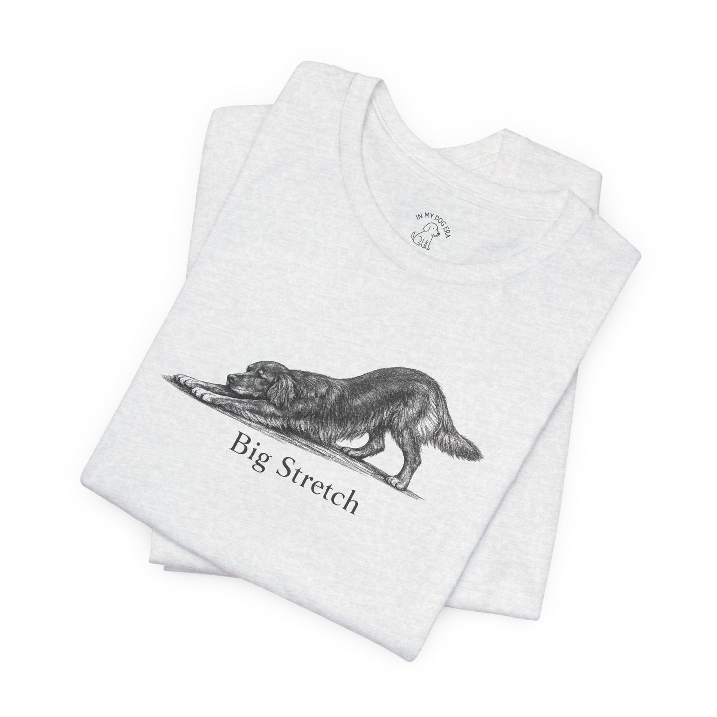 Big Stretch Irish Setter T-Shirt