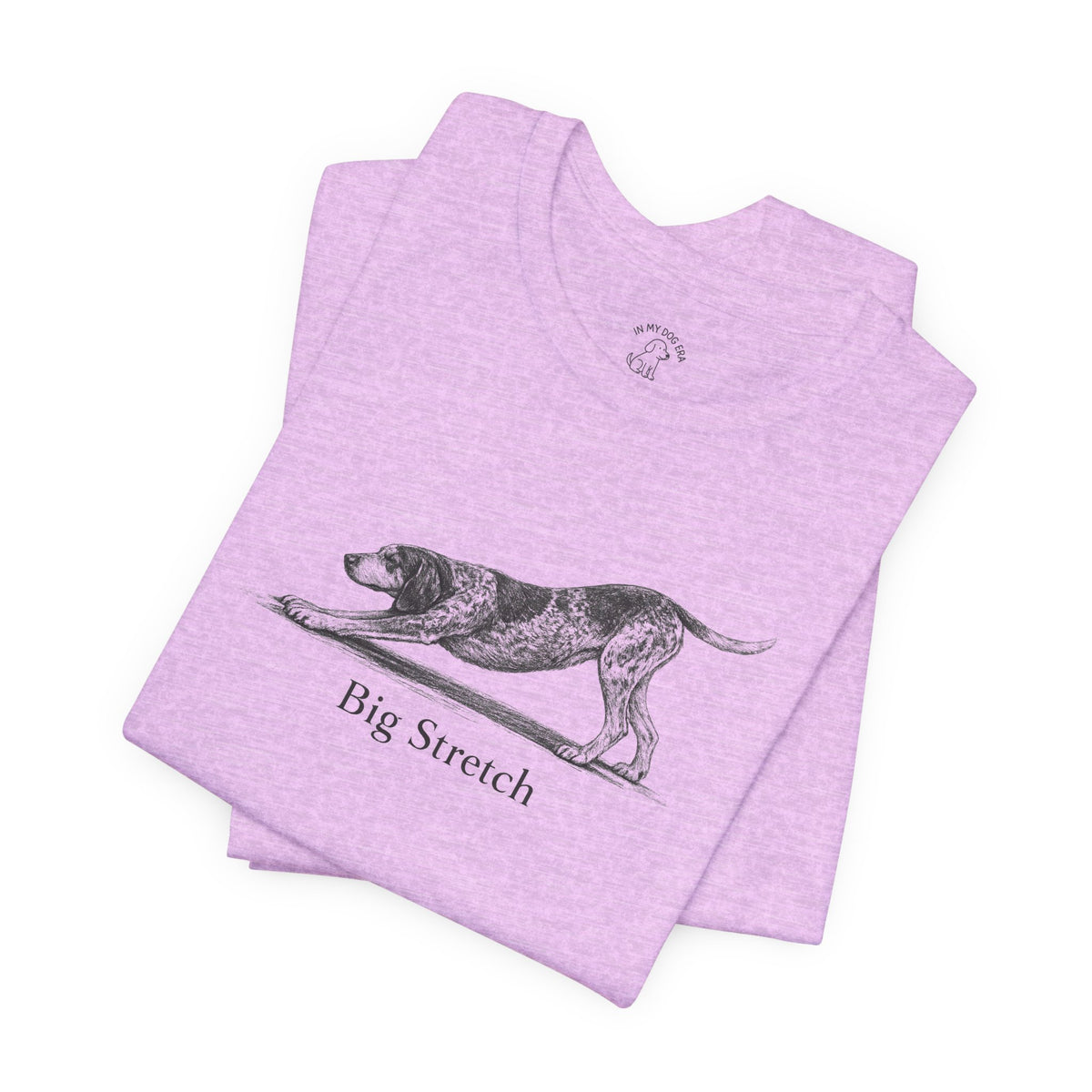 Big Stretch Bluetick Coonhound T-Shirt