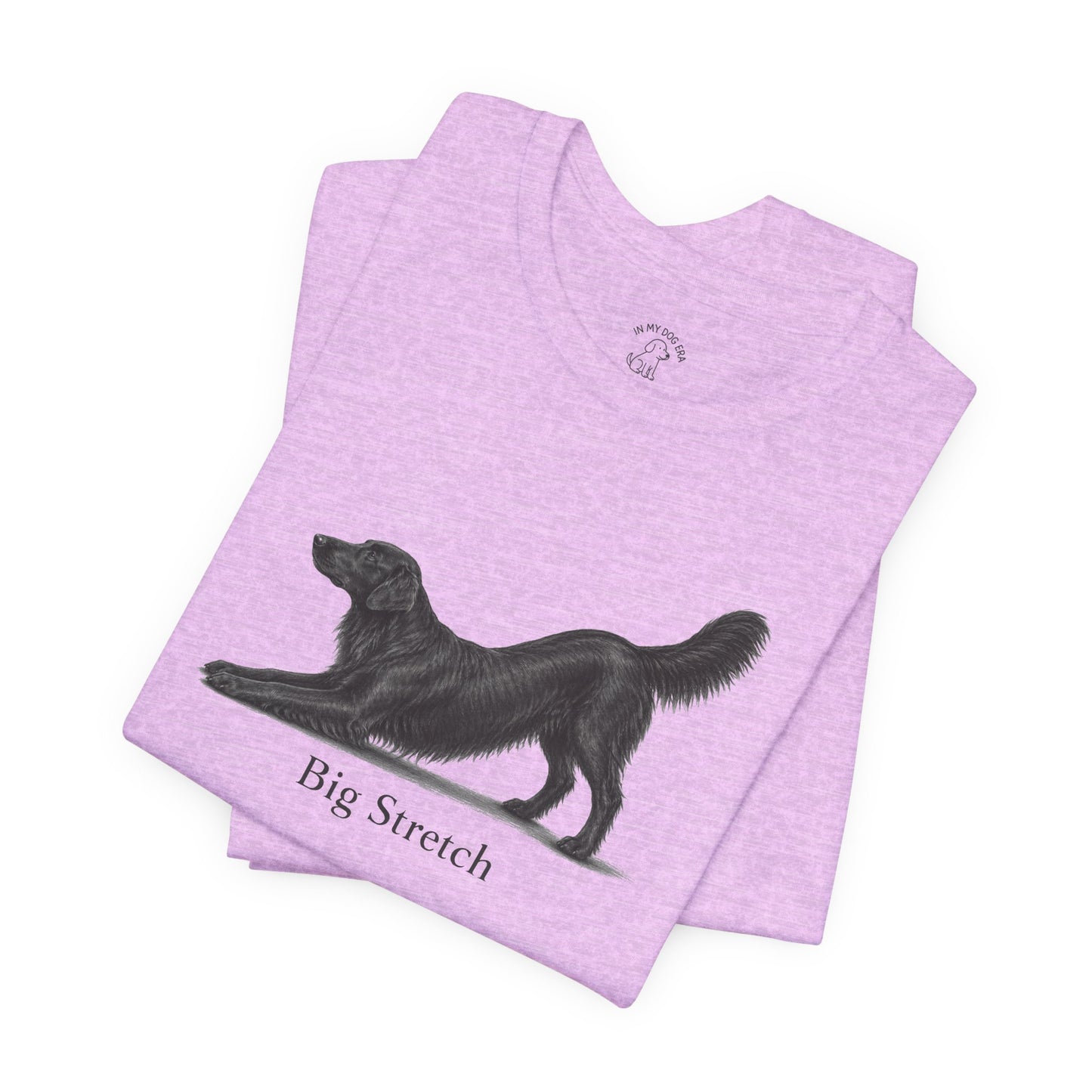 Big Stretch Flat-Coated Retriever T-Shirt