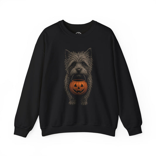 Cairn Terrier Halloween Sweatshirt – Boop or Treat