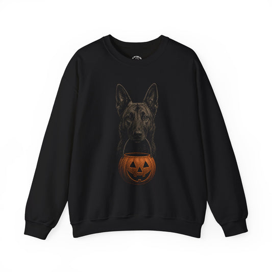 Dutch Shepherd Halloween Sweatshirt – Boop or Treat