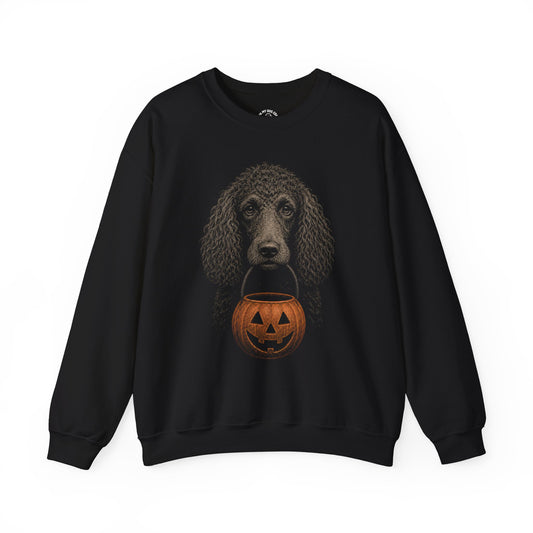 Irish Water Spaniel Halloween Sweatshirt – Boop or Treat