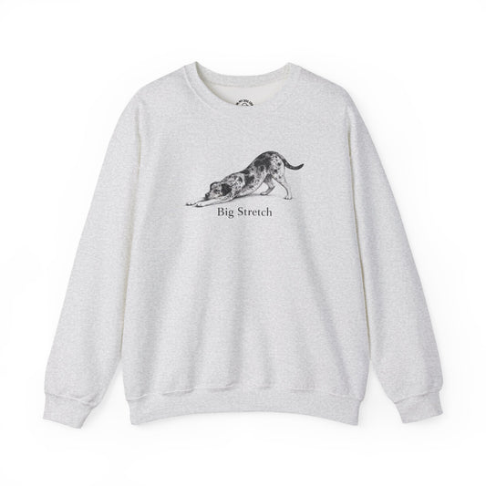 Big Stretch Catahoula Leopard Dog Sweatshirt
