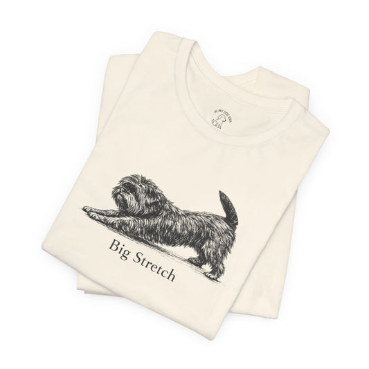 Big Stretch Affenpinscher T-Shirt